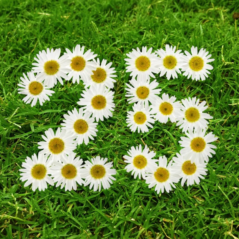 25 Years of Experience